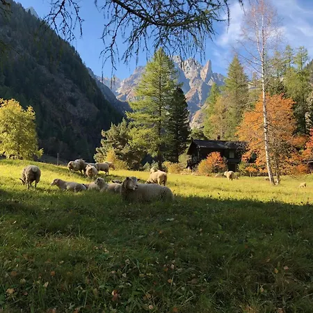 別荘 Val Ferret Ideal For Tmb, Hiking, Panorama *