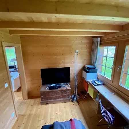 Val Ferret Ideal For Tmb, Hiking, Panorama