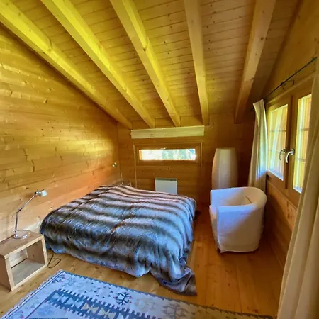 Val Ferret Ideal For Tmb, Hiking, Panorama 別荘 *