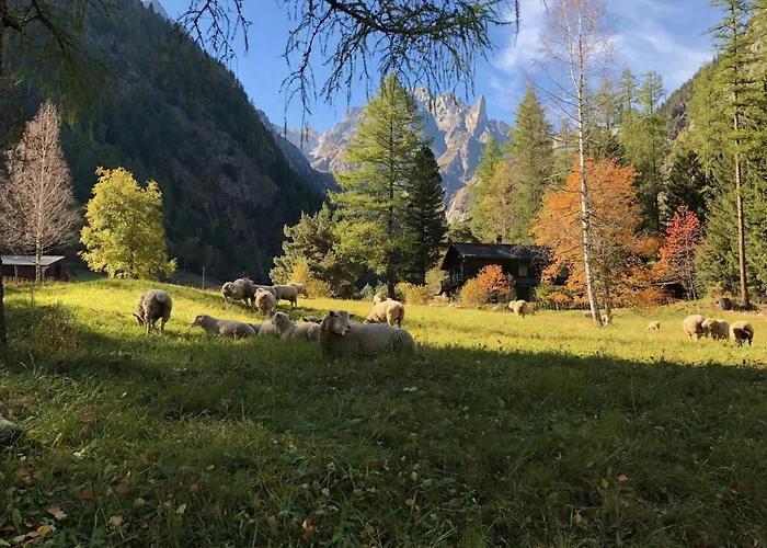 Casa de Férias Val Ferret Ideal For Tmb, Hiking, Panorama *